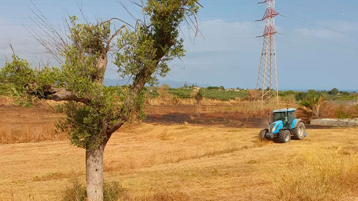 Ricerca di talenti e promozione del territorio: la società cooperativa Network dei Talenti