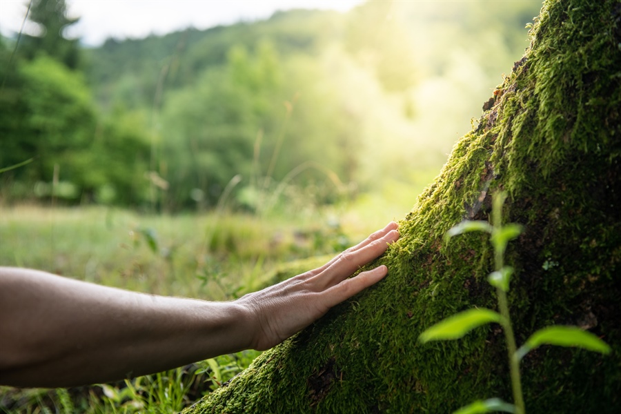 BeeO: Innovazione e Sostenibilità nella Manutenzione del Verde