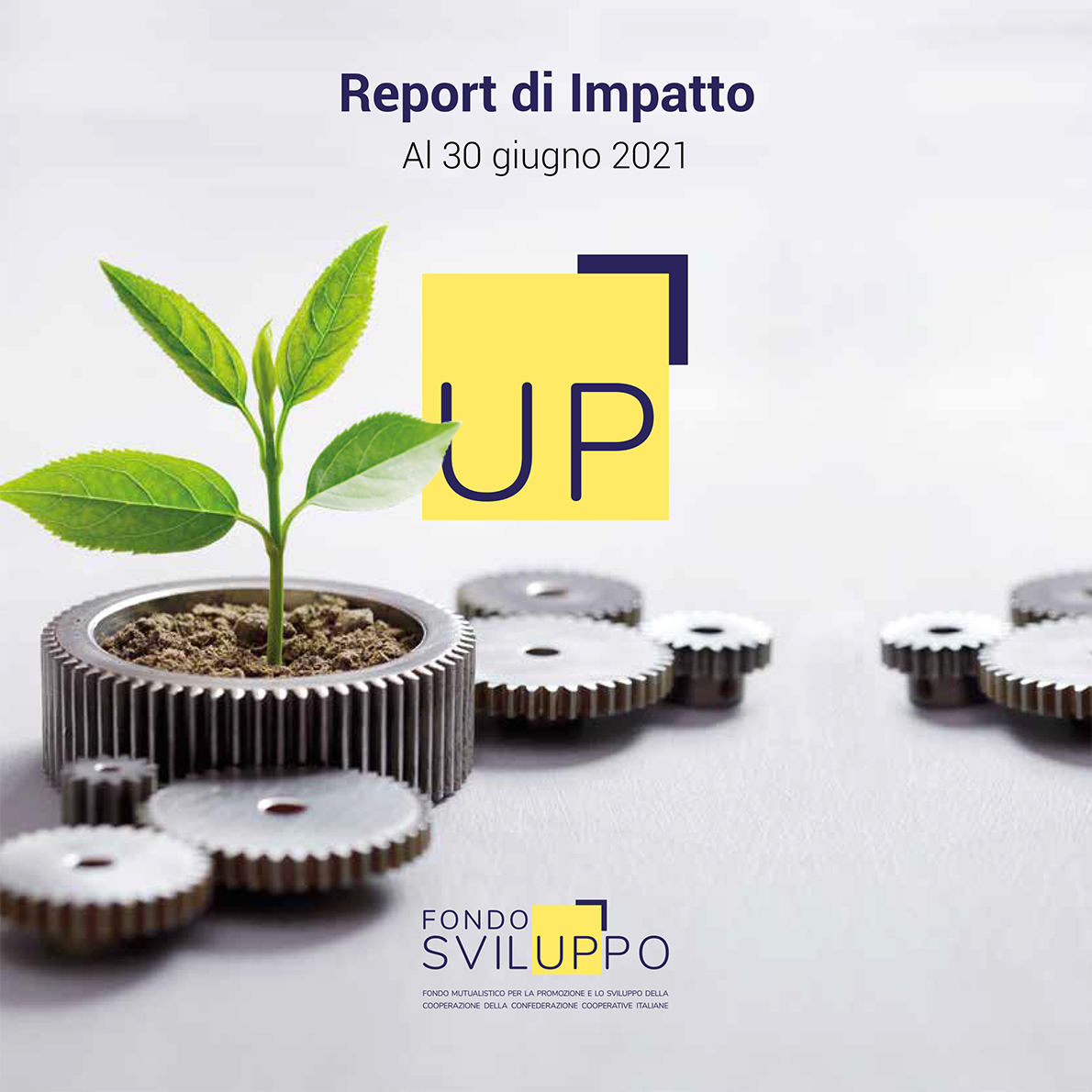 REPORT D'IMPATTO